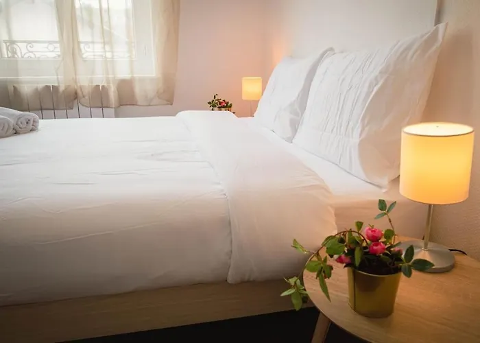 A1G Nancy Thermal Artem Chambre